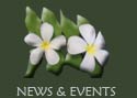 news and events